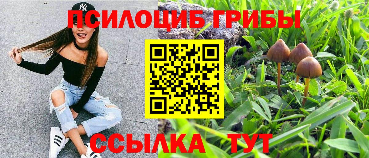Галлюциногенные грибы GOLDEN TEACHER  Псилоцибиновые грибы ЛСД  Вход с VPN  цены наркотик  Кстово 